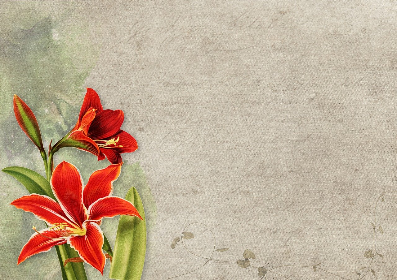 login banner